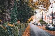 Indices of Multiple Deprivation