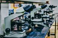 Life Sciences, Pharmaceuticals and Process Industries in the North East